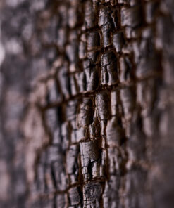 Landes et Terres – Image 3